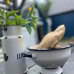 Appartement Naturalnietu *