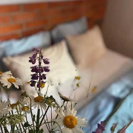 Apartman Naturalnietu Goscie Od 10 Roku Zycia Natura Klimat Cisza Spokoj Ogrodek Rower
