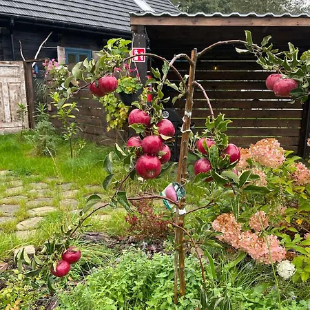 Naturalnietu Apartment *