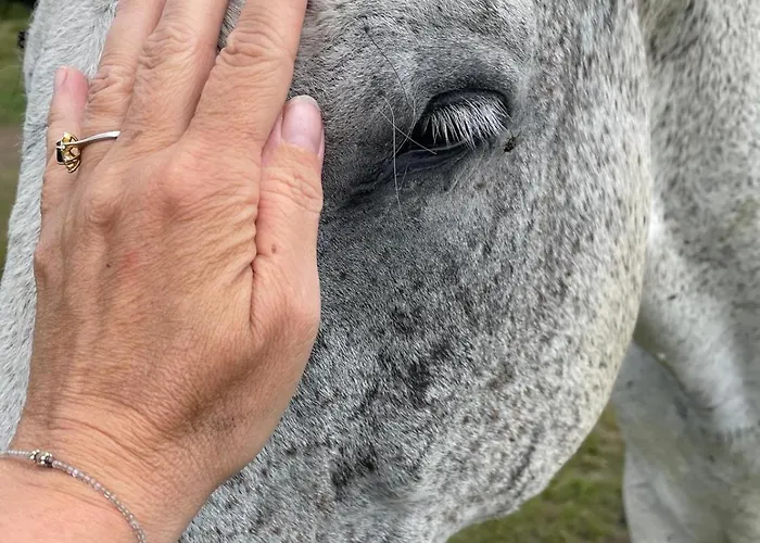 Apartment Naturalnietu *